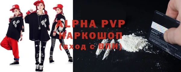 гашик Верея