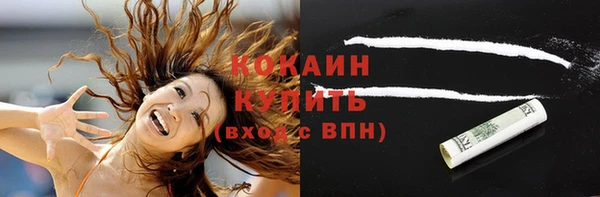 гашик Верея