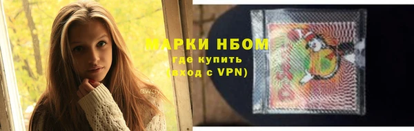 гашик Верея