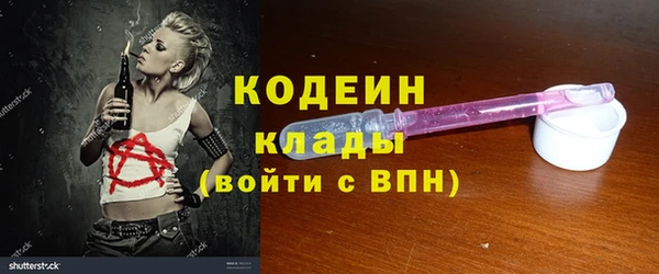 гашик Верея