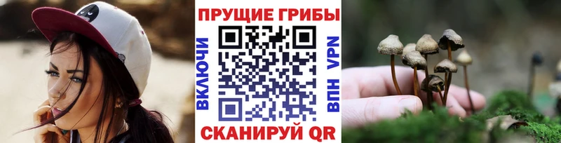 Галлюциногенные грибы ЛСД  Купить  Новоуральск 